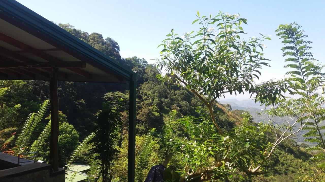 Artist Cottage Haputale Bagian luar foto