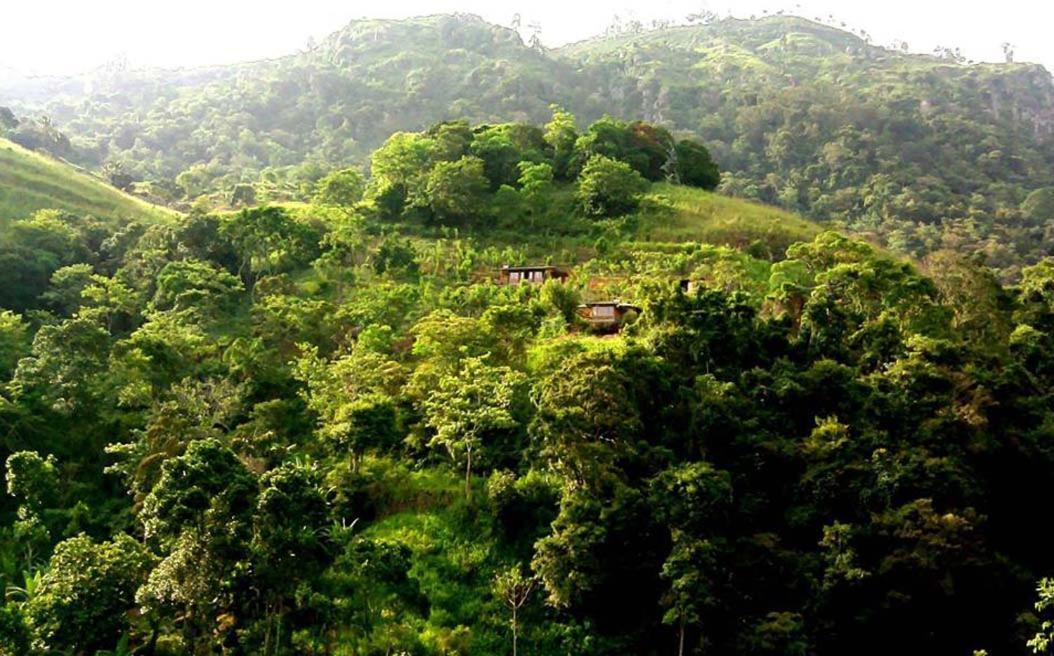 Artist Cottage Haputale Bagian luar foto