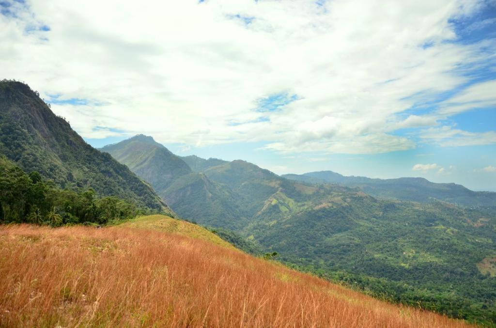 Artist Cottage Haputale Bagian luar foto