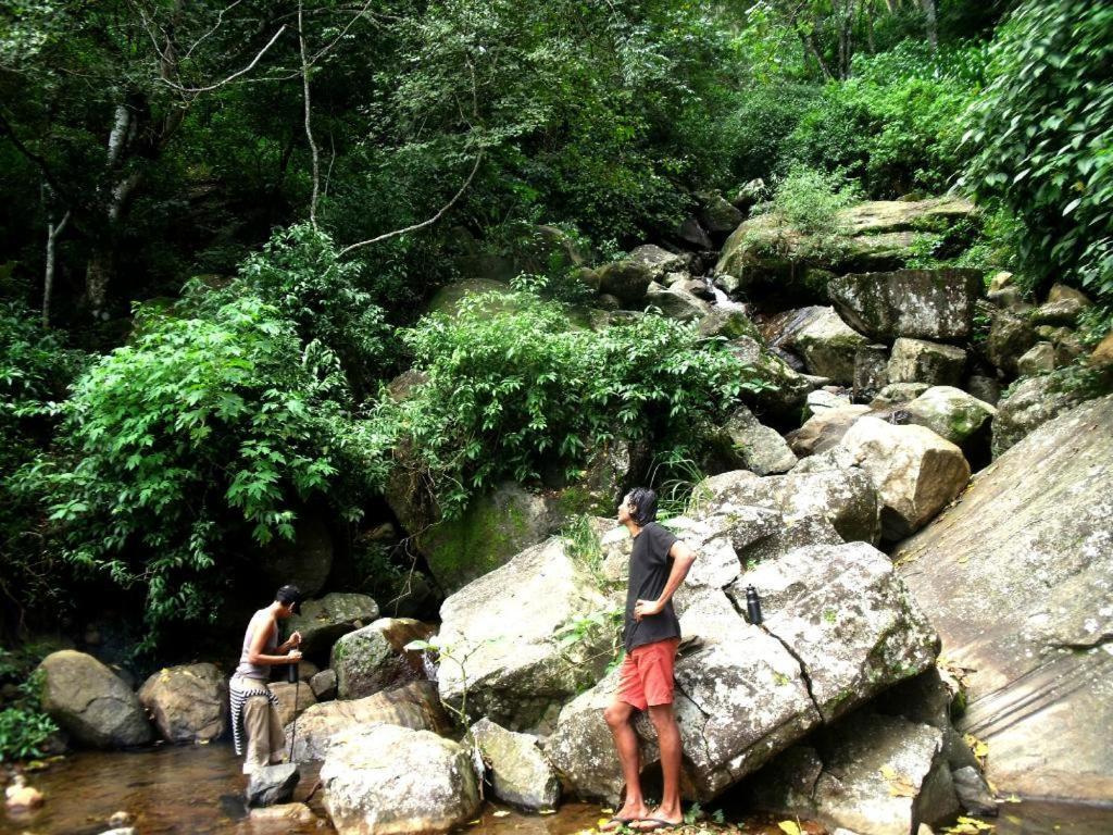 Artist Cottage Haputale Bagian luar foto