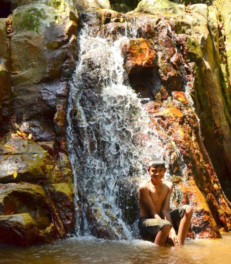 Artist Cottage Haputale Bagian luar foto