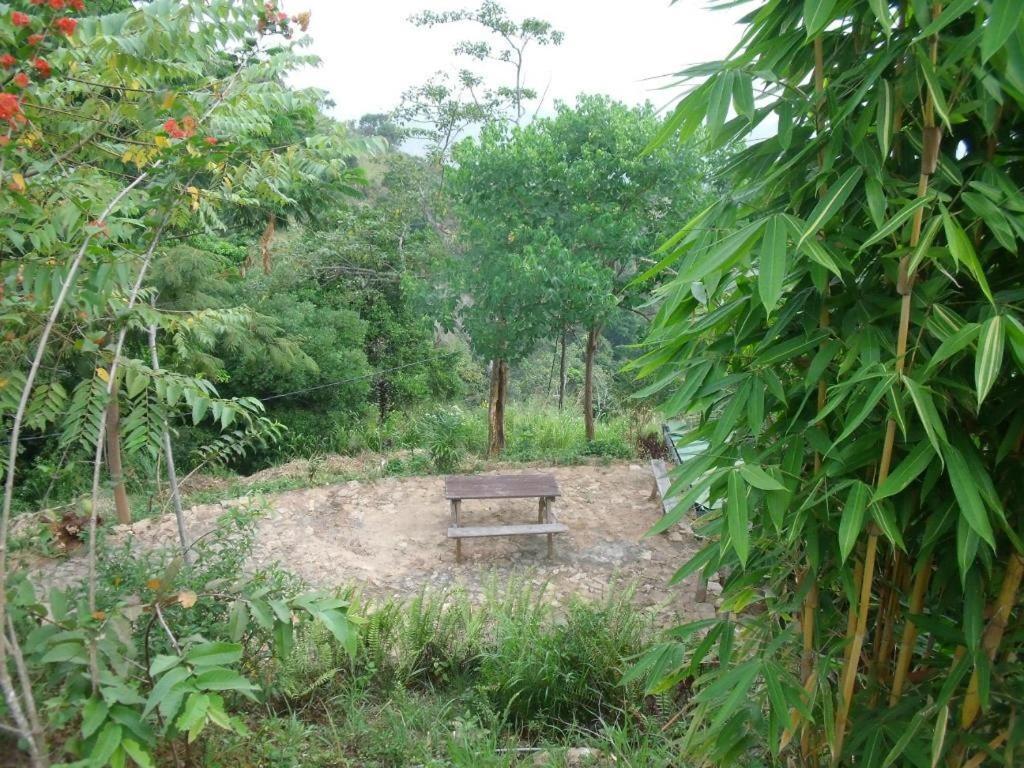 Artist Cottage Haputale Bagian luar foto