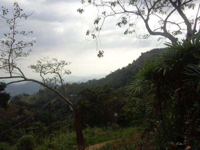 Artist Cottage Haputale Bagian luar foto